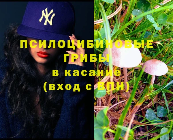 метадон Новозыбков