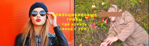 гашик Нягань